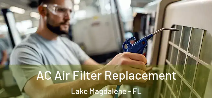 AC Air Filter Replacement Lake Magdalene - FL