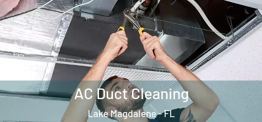 AC Duct Cleaning Lake Magdalene - FL