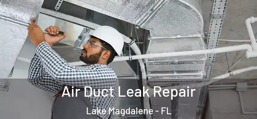 Air Duct Leak Repair Lake Magdalene - FL