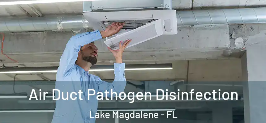 Air Duct Pathogen Disinfection Lake Magdalene - FL