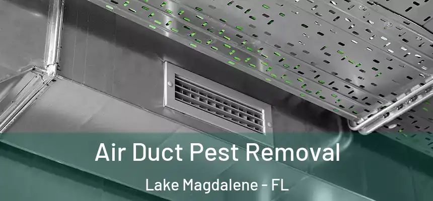 Air Duct Pest Removal Lake Magdalene - FL