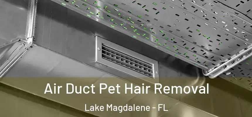 Air Duct Pet Hair Removal Lake Magdalene - FL