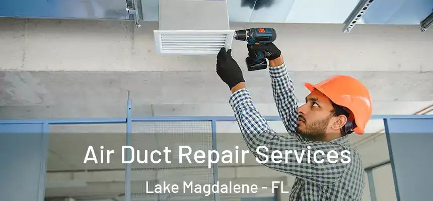 Air Duct Repair Services Lake Magdalene - FL