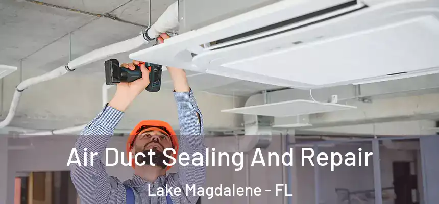 Air Duct Sealing And Repair Lake Magdalene - FL