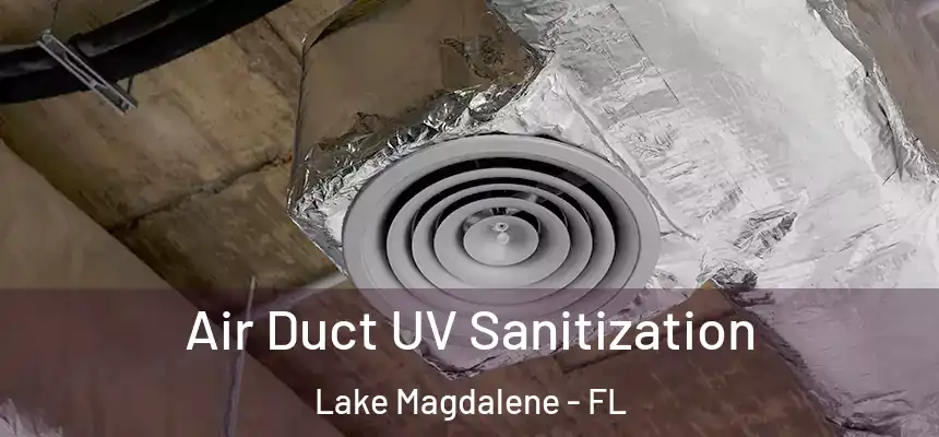 Air Duct UV Sanitization Lake Magdalene - FL