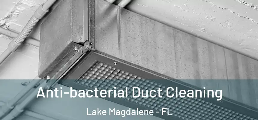 Anti-bacterial Duct Cleaning Lake Magdalene - FL