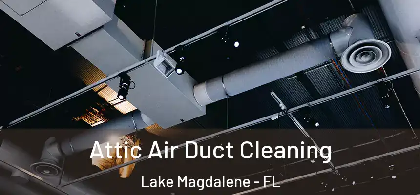 Attic Air Duct Cleaning Lake Magdalene - FL
