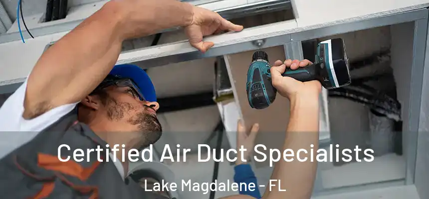 Certified Air Duct Specialists Lake Magdalene - FL