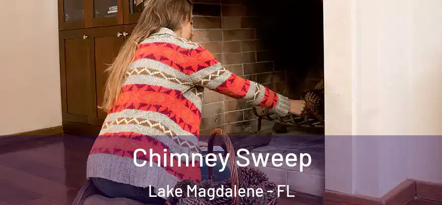 Chimney Sweep Lake Magdalene - FL