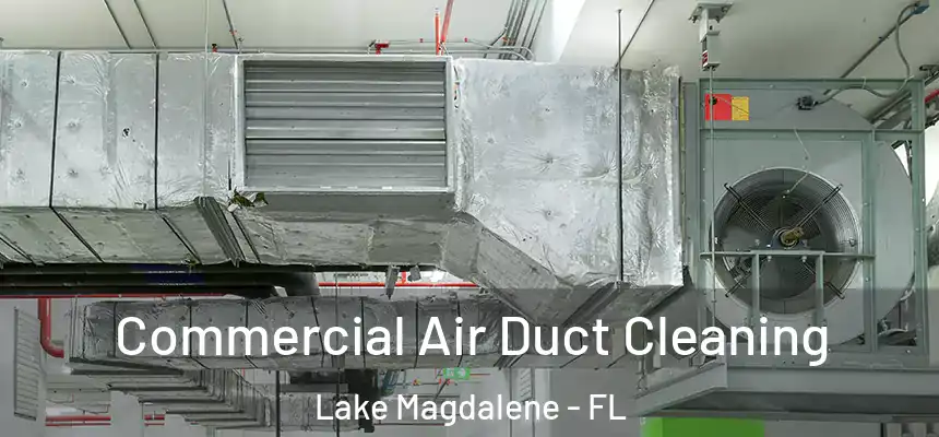 Commercial Air Duct Cleaning Lake Magdalene - FL