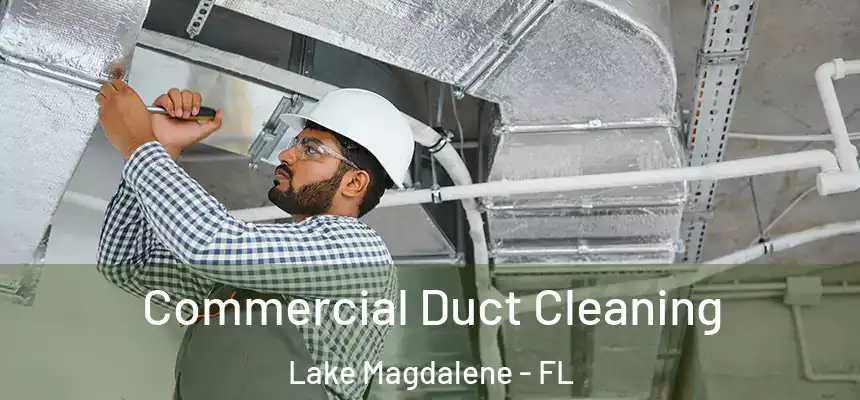 Commercial Duct Cleaning Lake Magdalene - FL