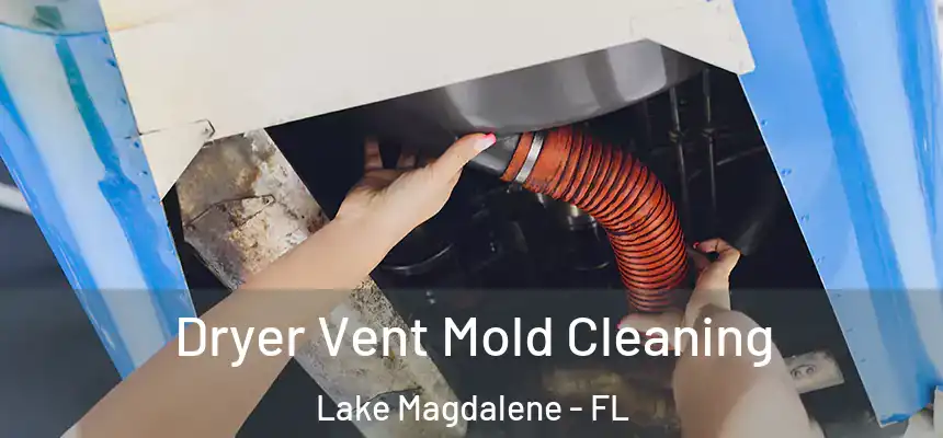 Dryer Vent Mold Cleaning Lake Magdalene - FL