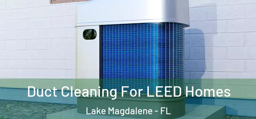 Duct Cleaning For LEED Homes Lake Magdalene - FL