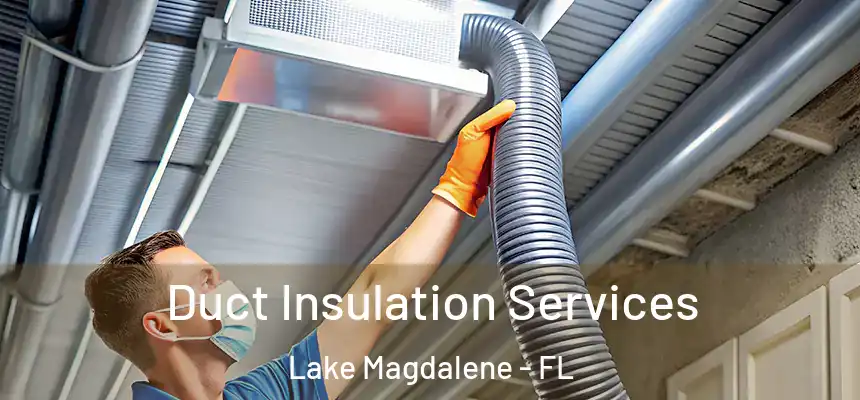 Duct Insulation Services Lake Magdalene - FL