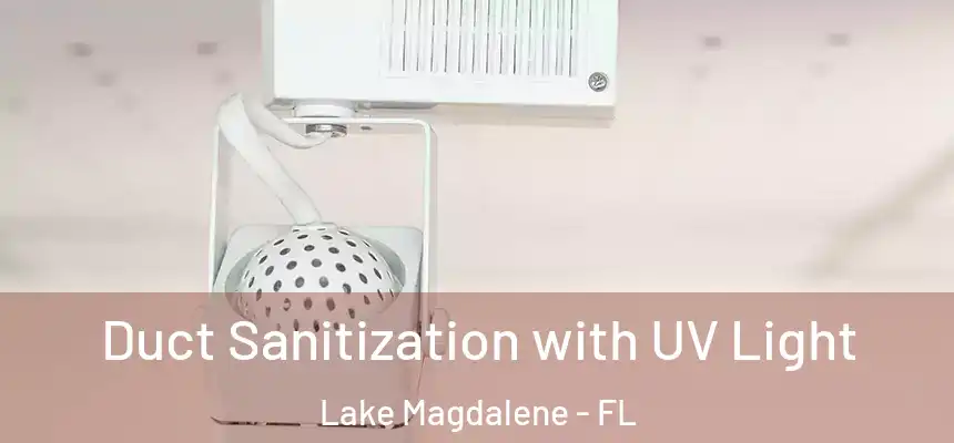 Duct Sanitization with UV Light Lake Magdalene - FL