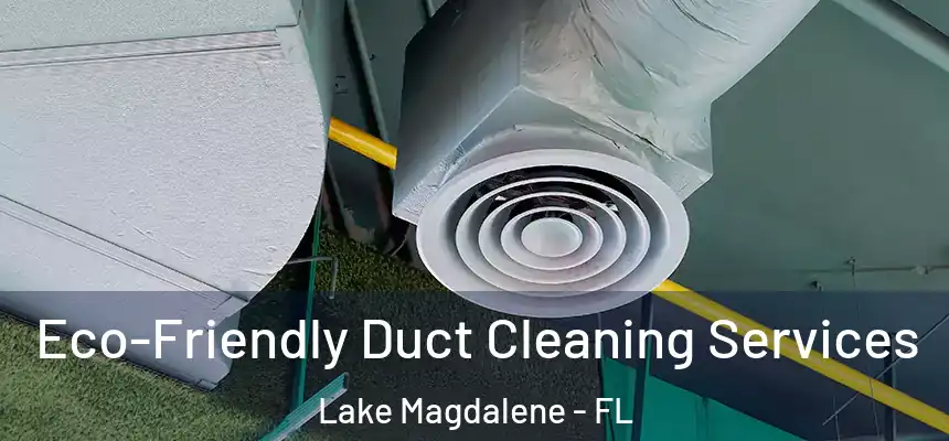 Eco-Friendly Duct Cleaning Services Lake Magdalene - FL