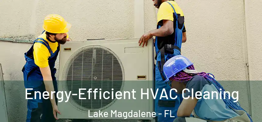 Energy-Efficient HVAC Cleaning Lake Magdalene - FL