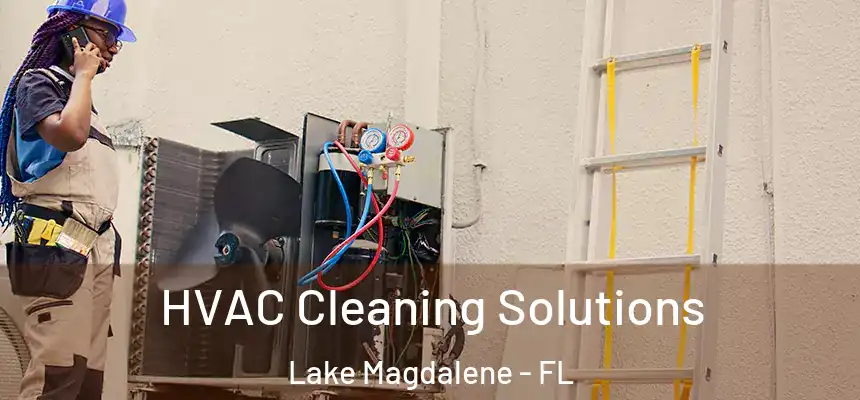 HVAC Cleaning Solutions Lake Magdalene - FL