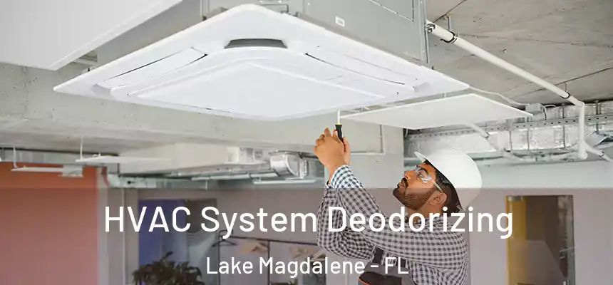 HVAC System Deodorizing Lake Magdalene - FL