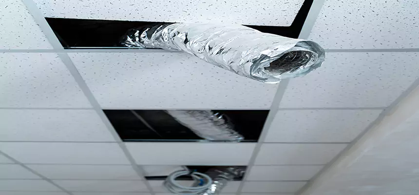 Our Air Duct Pet Hair Removal Services in Lake Magdalene, FL