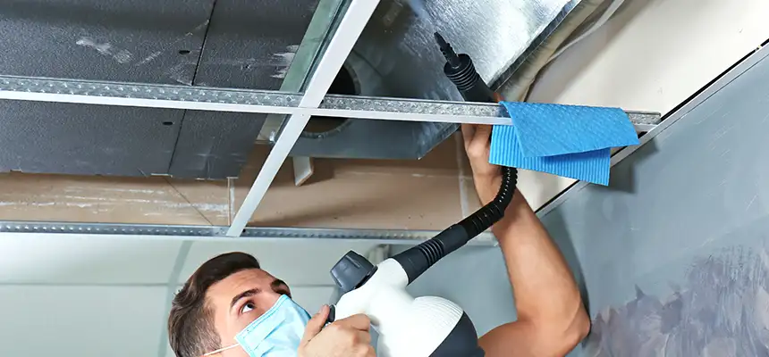 Our Air Duct Rodent Removal Services in Lake Magdalene, FL