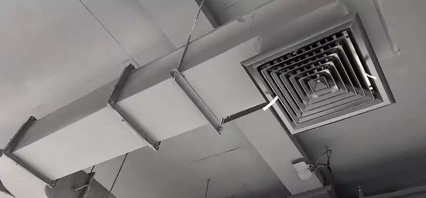 Restorative Allergy Relief Vent Cleaning – Coil, Blower & Housing Detail in Lake Magdalene