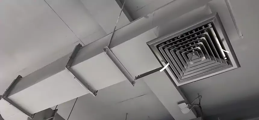 Our Pest Removal From Ducts Services in Lake Magdalene, FL