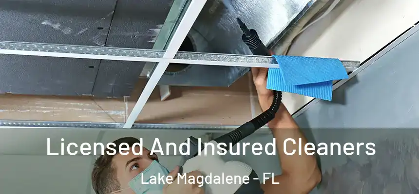 Licensed And Insured Cleaners Lake Magdalene - FL