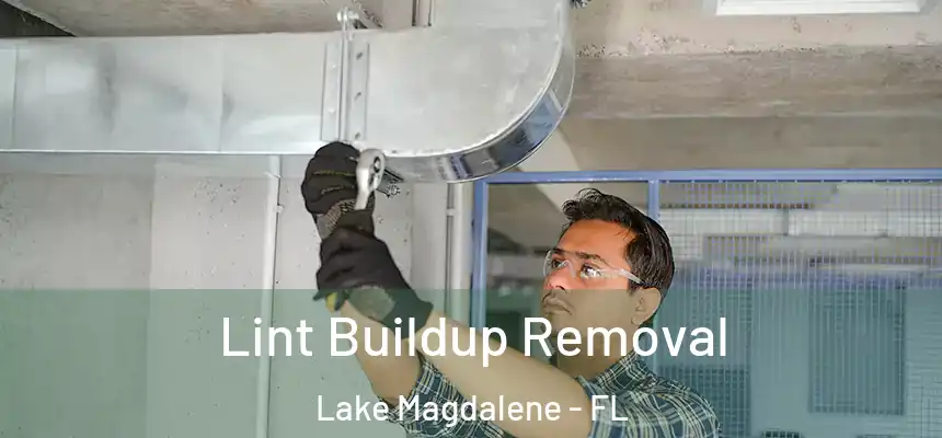 Lint Buildup Removal Lake Magdalene - FL