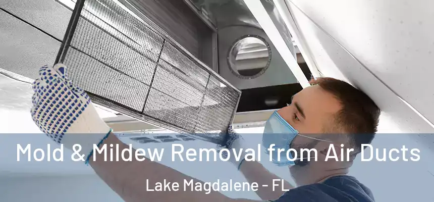 Mold & Mildew Removal from Air Ducts Lake Magdalene - FL