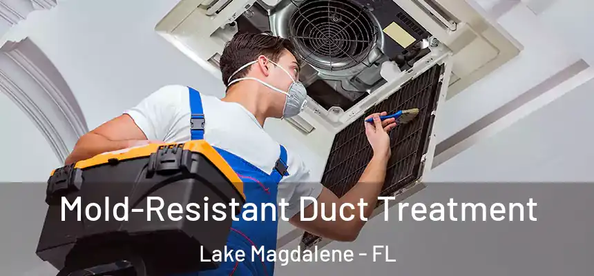Mold-Resistant Duct Treatment Lake Magdalene - FL