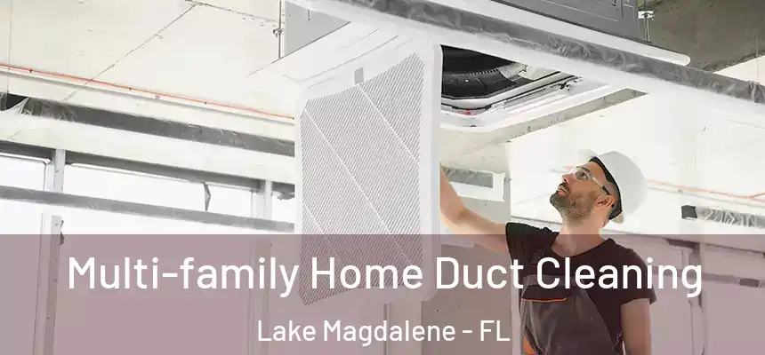 Multi-family Home Duct Cleaning Lake Magdalene - FL