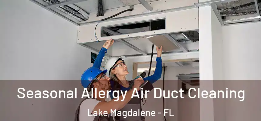 Seasonal Allergy Air Duct Cleaning Lake Magdalene - FL