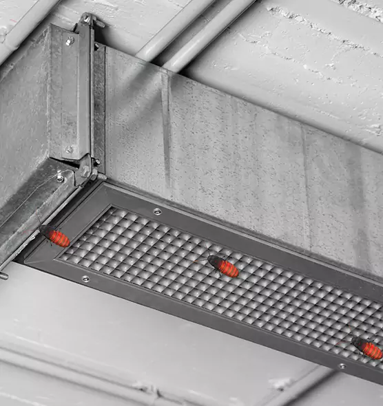 About Air Duct Cockroach Removal in Lake Magdalene, FL