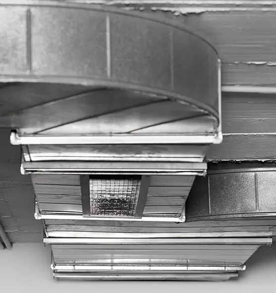 Professional Air Duct Pet Hair Removal in Lake Magdalene, FL