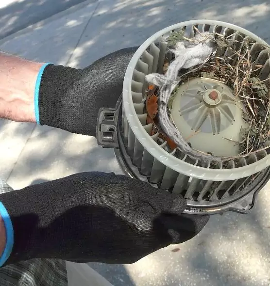 About Air Duct Rat Removal in Lake Magdalene, FL