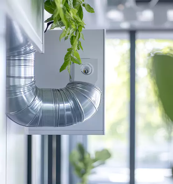 Professional Eco-Friendly Duct Cleaning Services in Lake Magdalene, FL