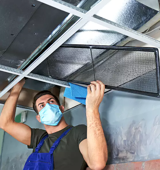 Professional Home Ventilation Cleaning in Lake Magdalene, FL