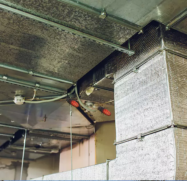 Why Homeowners & Businesses Trust Us in Lake Magdalene, FL?