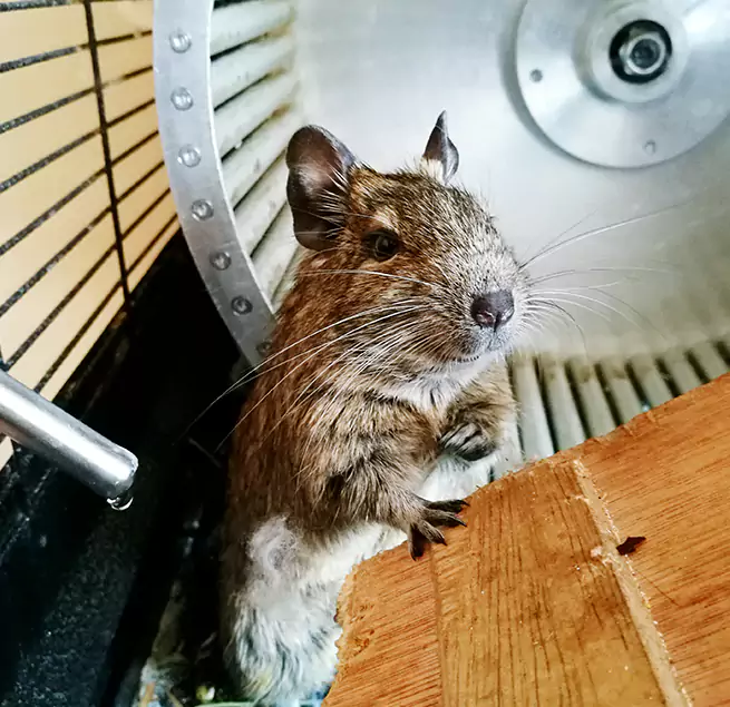 Why Homeowners & Businesses Trust Us Lake Magdalene, FL