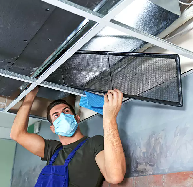 Why Homeowners Businesses Trust Us in Lake Magdalene, FL