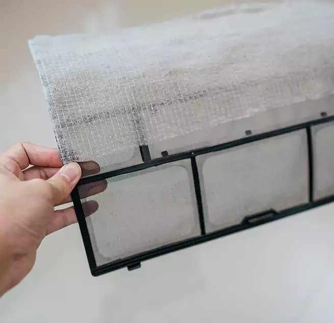 Why Homeowners & Businesses Trust Us in Lake Magdalene, FL?