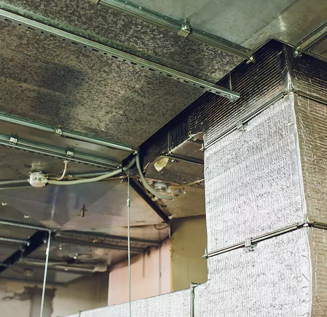 Why Homeowners & Businesses Trust Us in Lake Magdalene, FL?