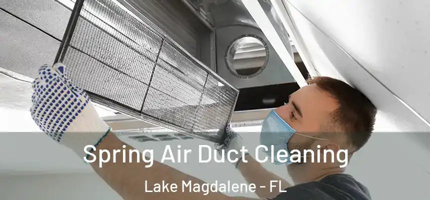 Spring Air Duct Cleaning Lake Magdalene - FL