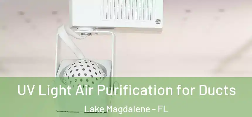UV Light Air Purification for Ducts Lake Magdalene - FL
