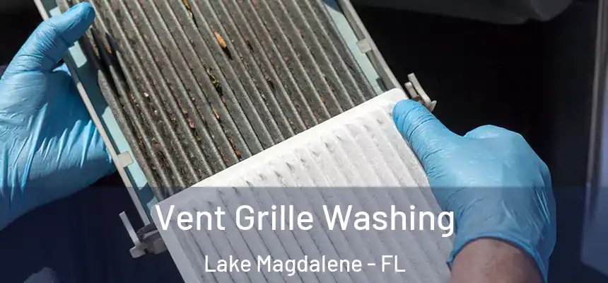 Vent Grille Washing Lake Magdalene - FL